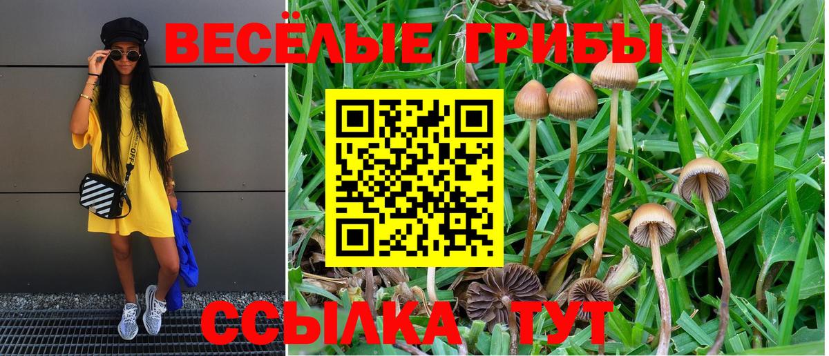 что такое   Псилоцибиновые грибы мицелий  Вход с VPN  Трёхгорный 
