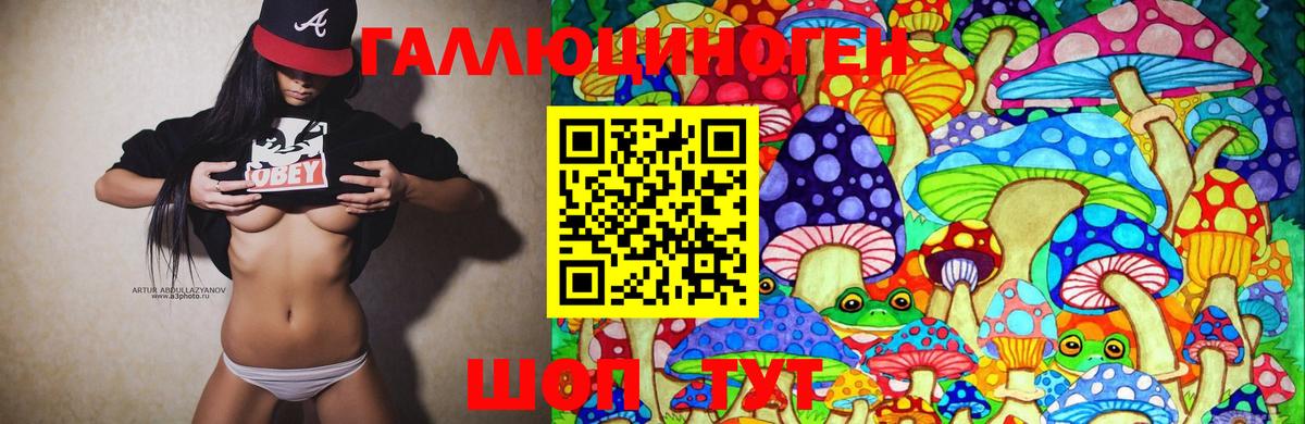 Псилоцибиновые грибы Psilocybine cubensis Трёхгорный